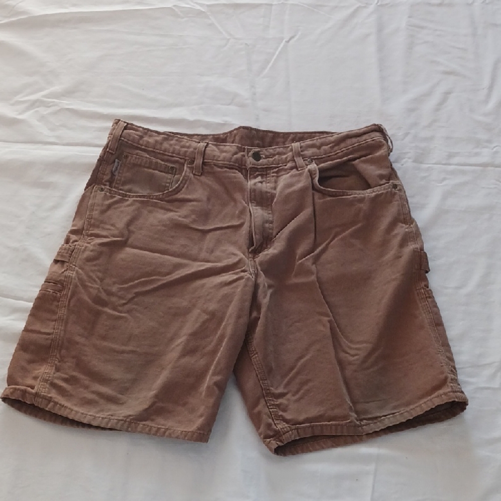 Carhart Men's Brown Casual Shorts
